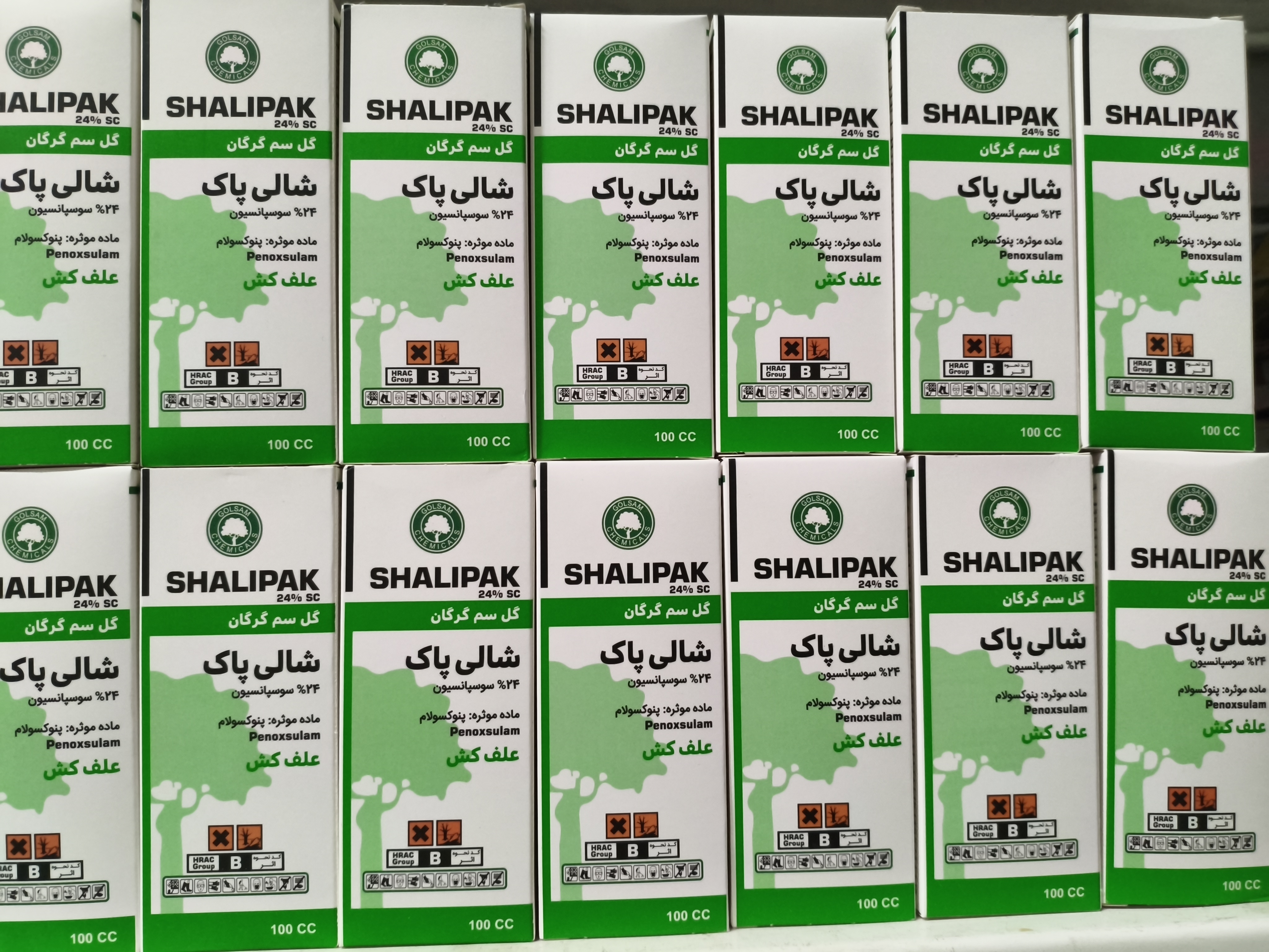 شالی پاک گلسم