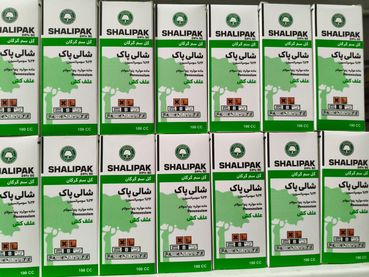 شالی پاک گلسم
