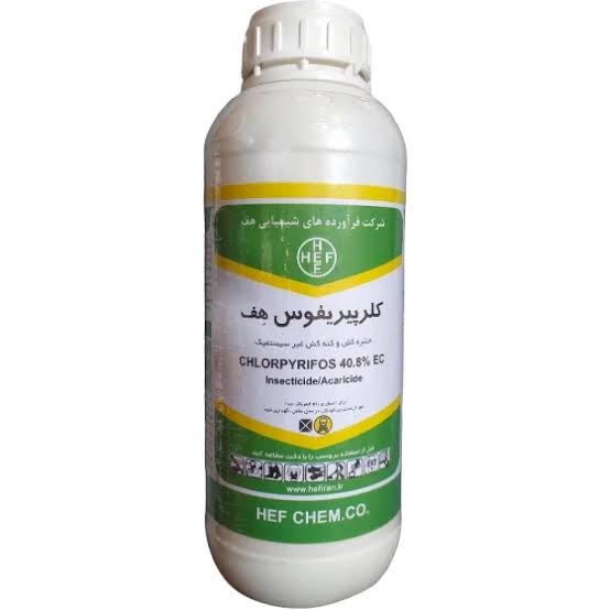 حشره کش کلریپریفوس دورسبان هف یک لیتری
