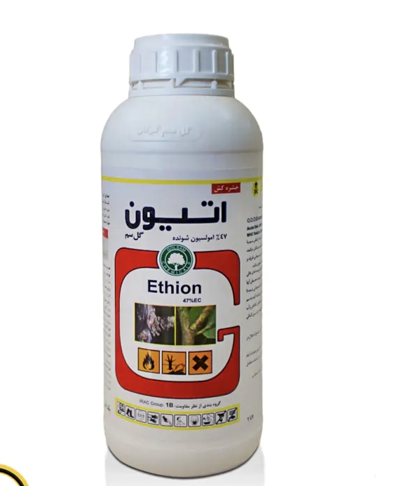 اتیون گلسم